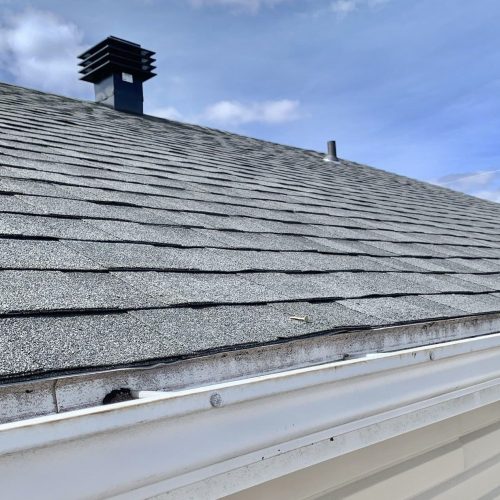 image1 (1)